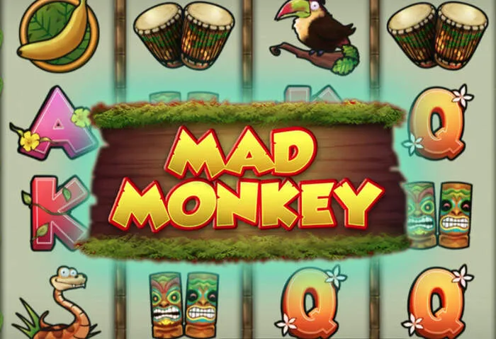 Mobiler Zugang zu Spinitcasino Live Casino Spielen auf Smartphone und Tablet